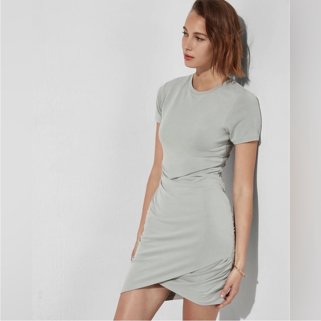 Express | Like New Fitted Bodycon Stretch Ruched Crewneck Short Sleeve Dress